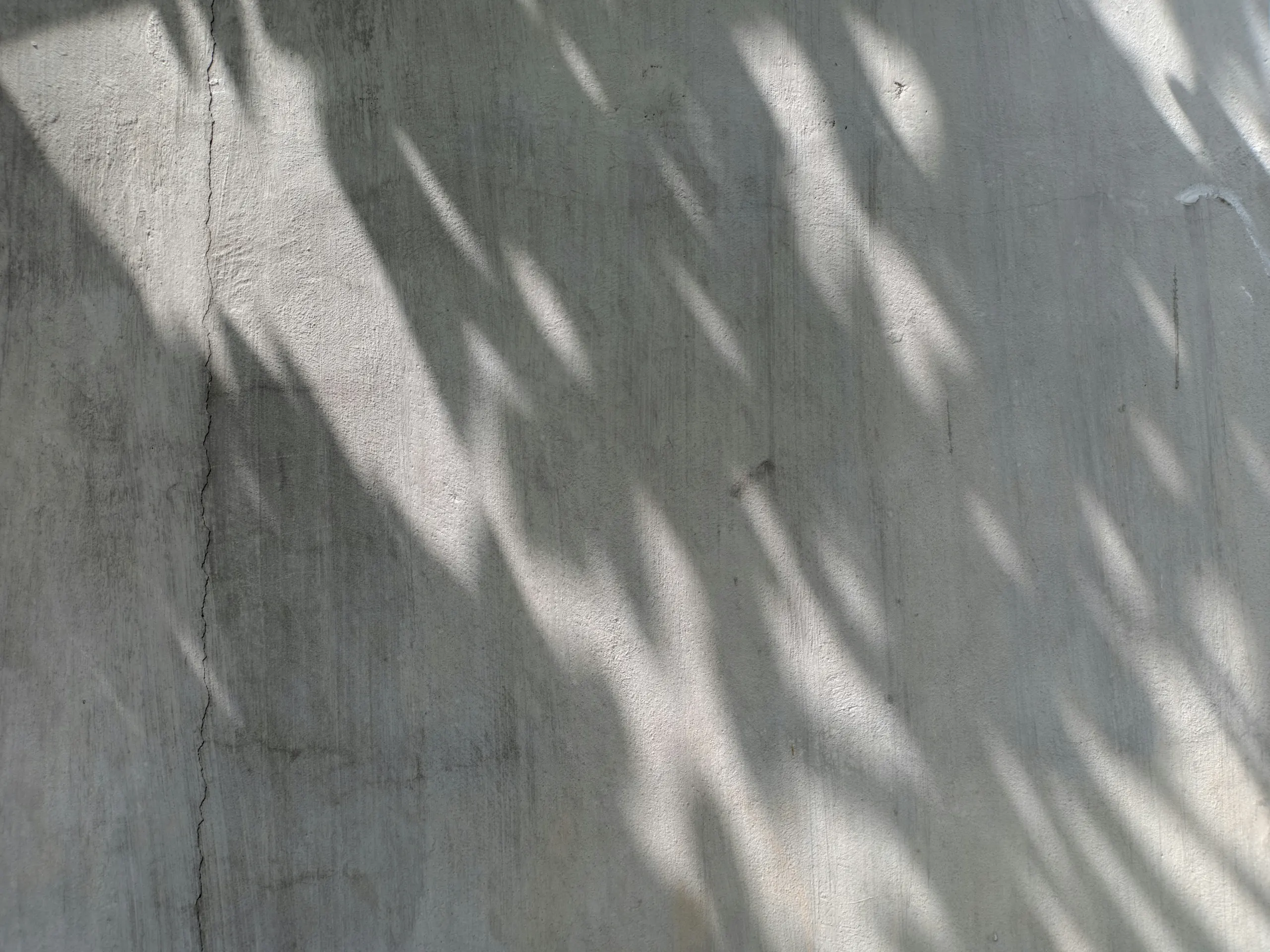 Leaf shadows falling across a cast concrete wall.